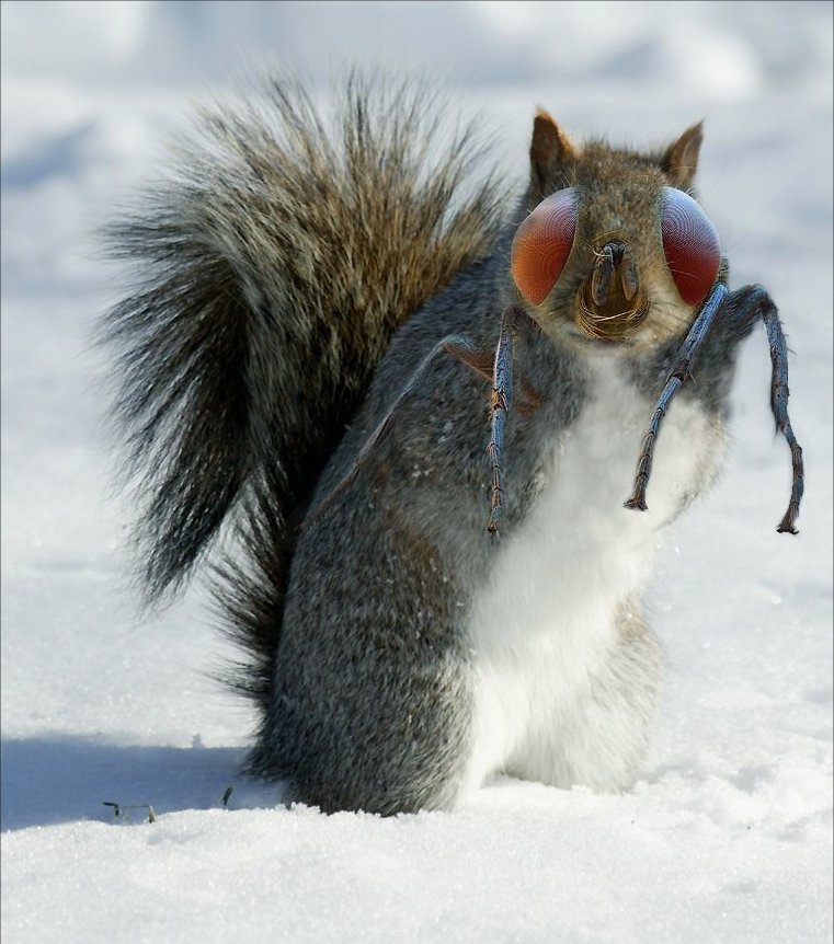 Photoshop Design by Garsaelon for DesignCrowd (Community Contests) | Design #9136362