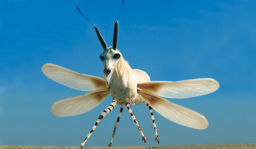 Diseño de Photoshop por ottolennart para DesignCrowd (Community Contests) | Diseño #9136407