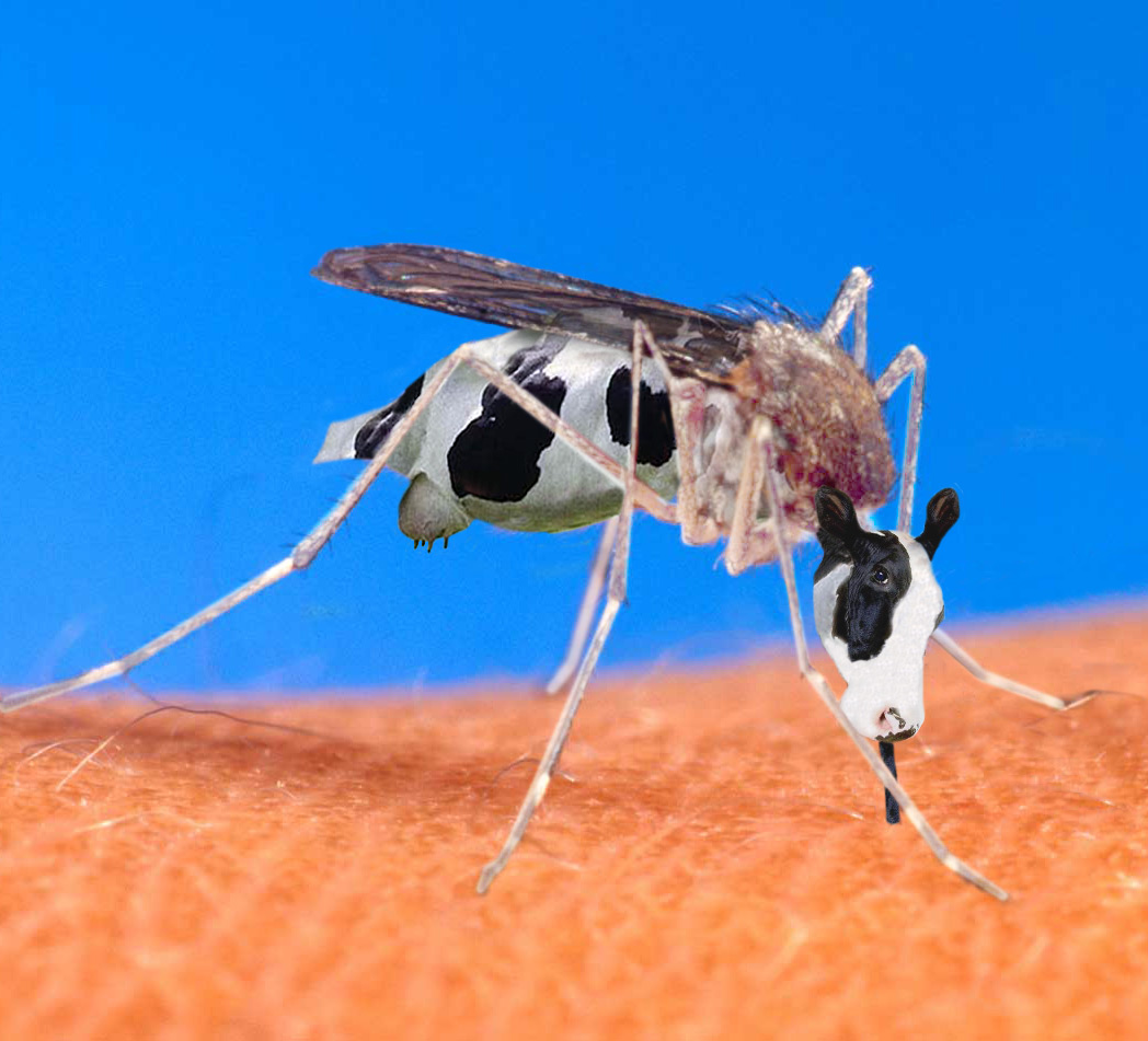 Photoshop-Design von Redbull_UK für DesignCrowd (Community Contests) | Design #9136346