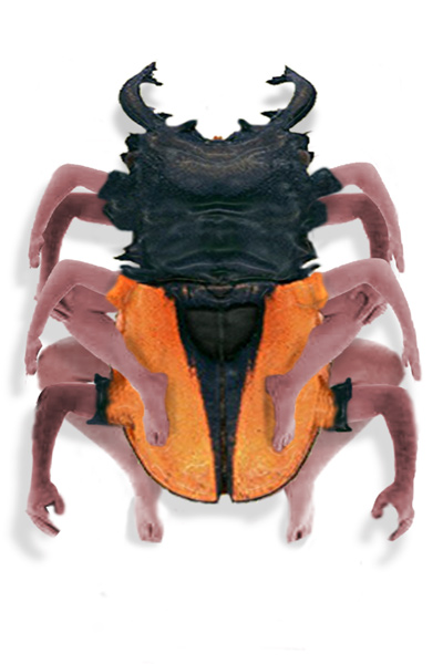 Diseño de Photoshop por Terrence para DesignCrowd (Community Contests) | Diseño #9136370