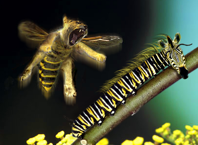 Diseño de Photoshop por Vortex para DesignCrowd (Community Contests) | Diseño #9136433