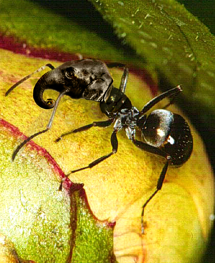 Photoshop-Design von kerryh für DesignCrowd (Community Contests) | Design #9136434