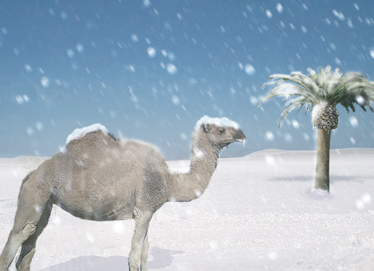 Photoshop-Design von robster für DesignCrowd (Community Contests) | Design #9129335