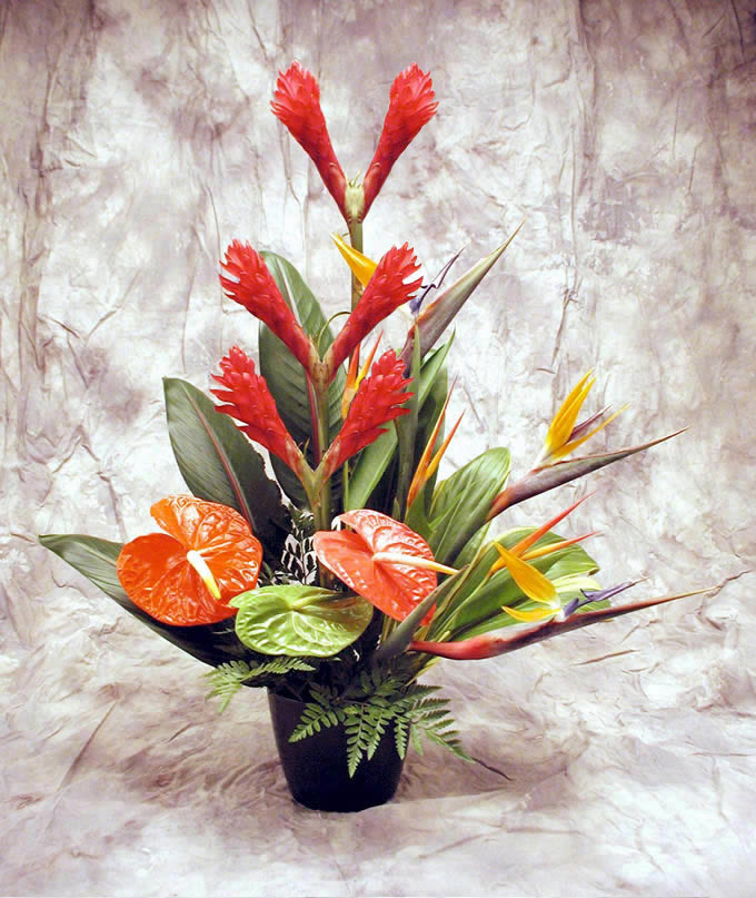 Photoshop Design by SweetShebah for DesignCrowd (Community Contests) | Design #9114816