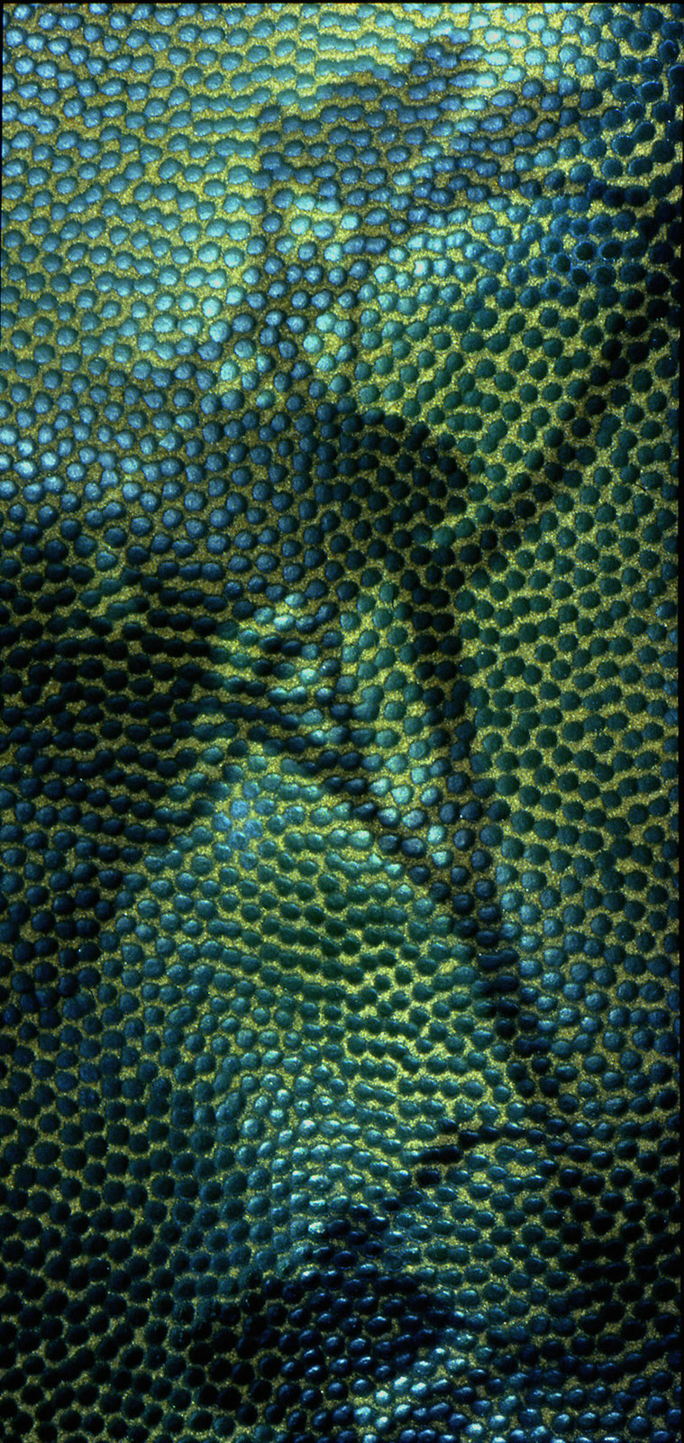 Fotografía por RitaRichter para DesignCrowd (Community Contests) | Diseño #9136661