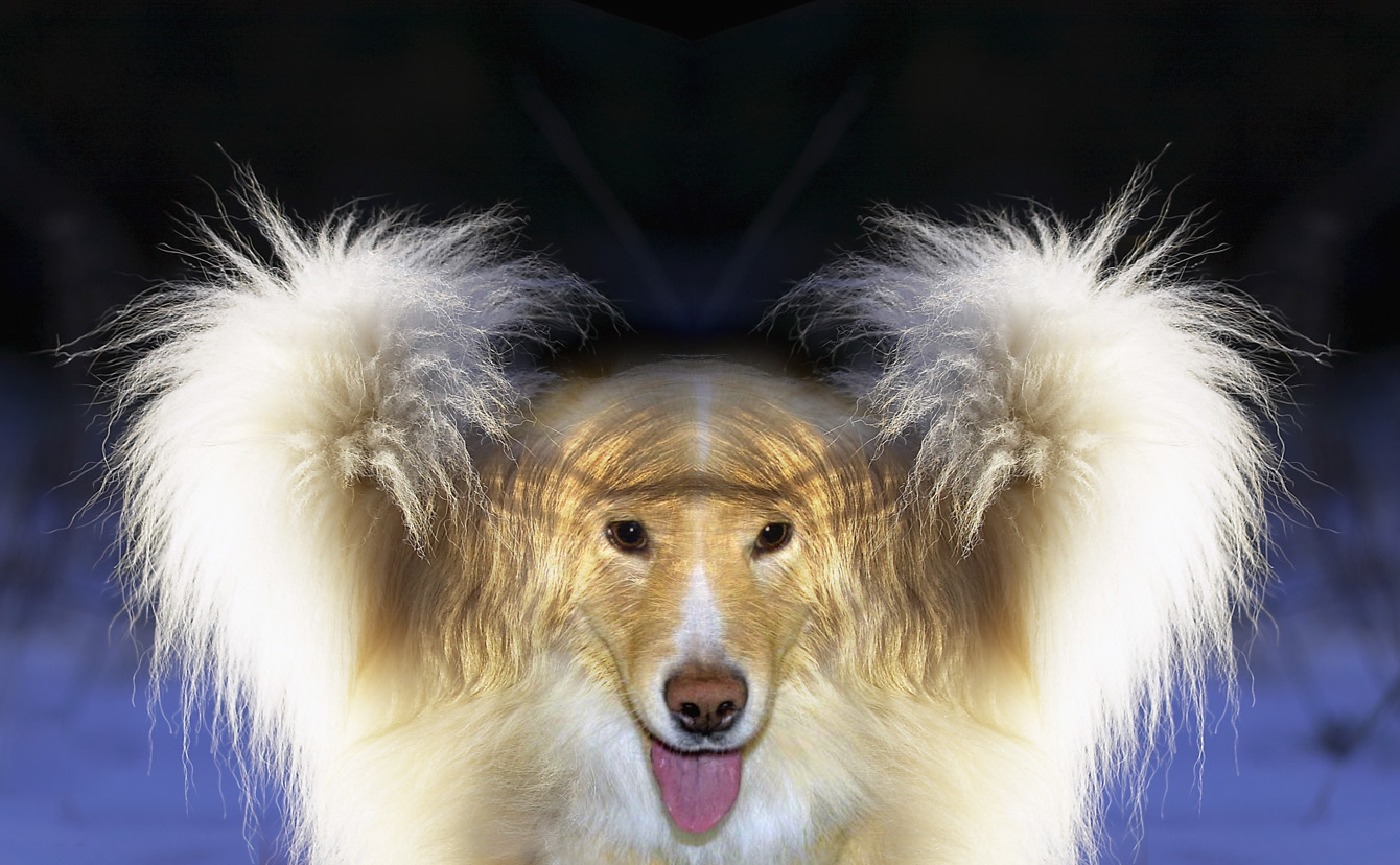 Photoshop Design by Abacrombie for DesignCrowd (Community Contests) | Design #9114825