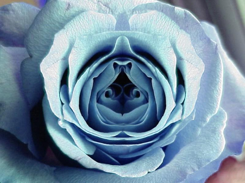 Diseño de Photoshop por isspecialist para DesignCrowd (Community Contests) | Diseño #9114823