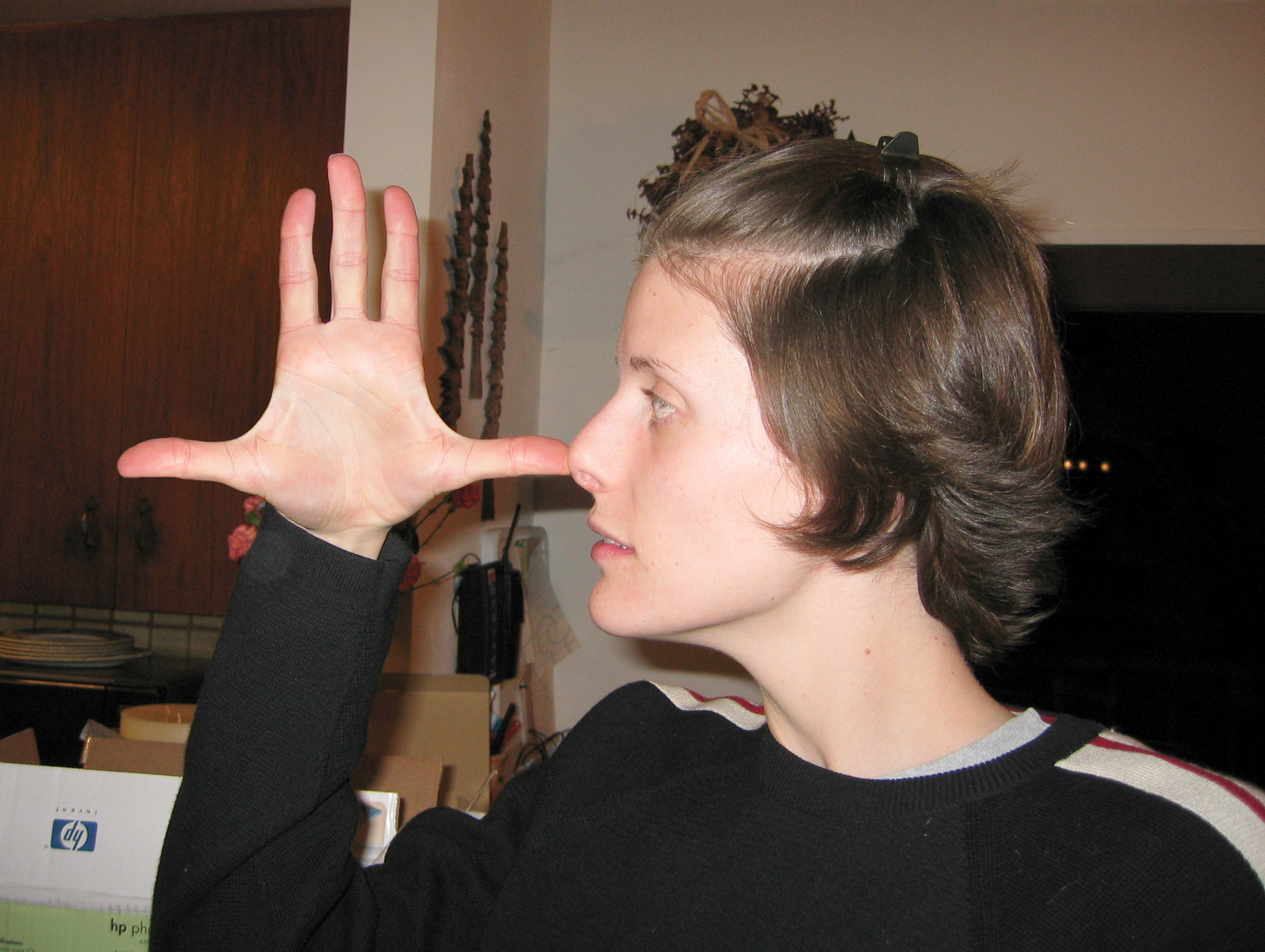 Photoshop Design by BlitzMan for DesignCrowd (Community Contests) | Design #9114862