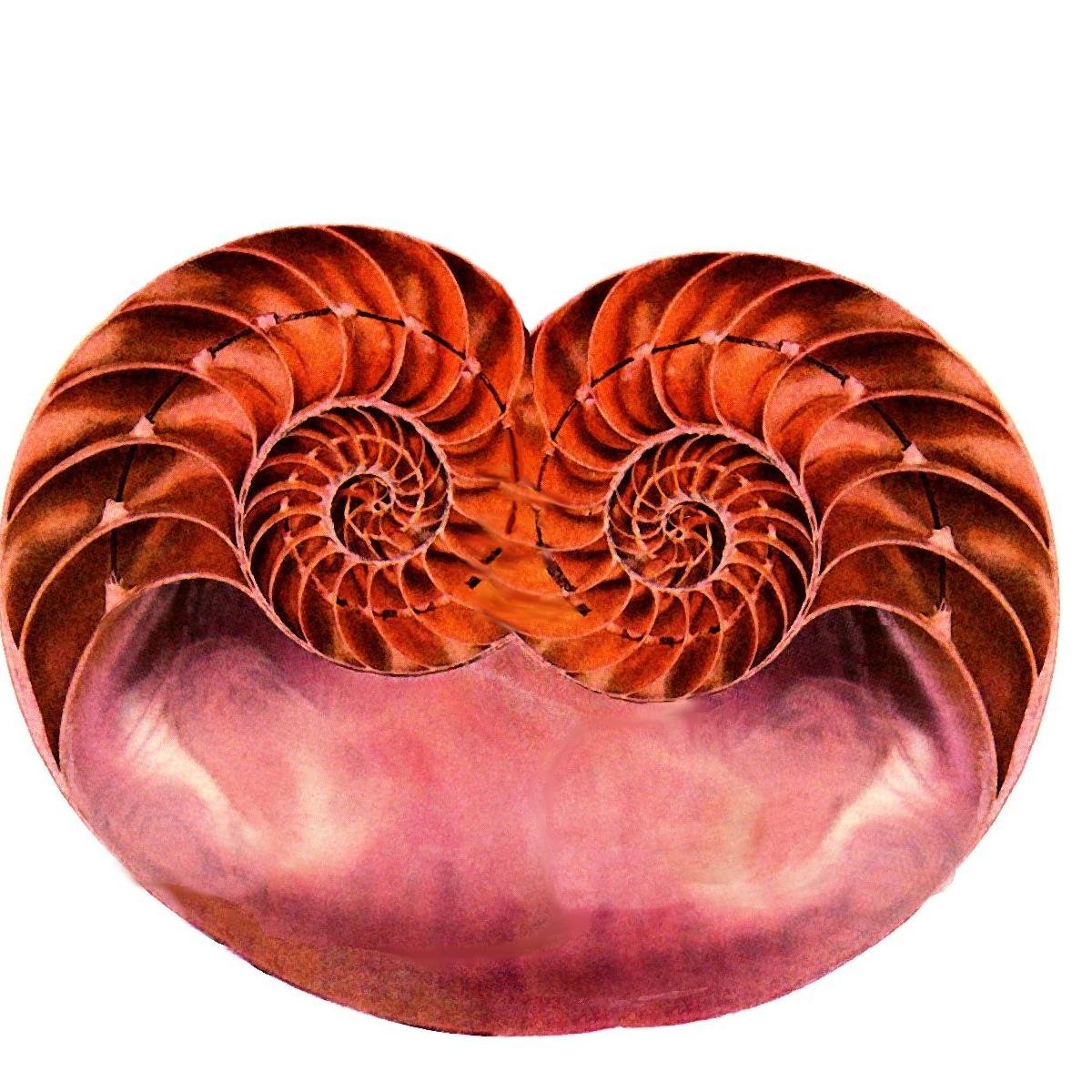 Photoshop Design by Floppglopple for DesignCrowd (Community Contests) | Design #9114991