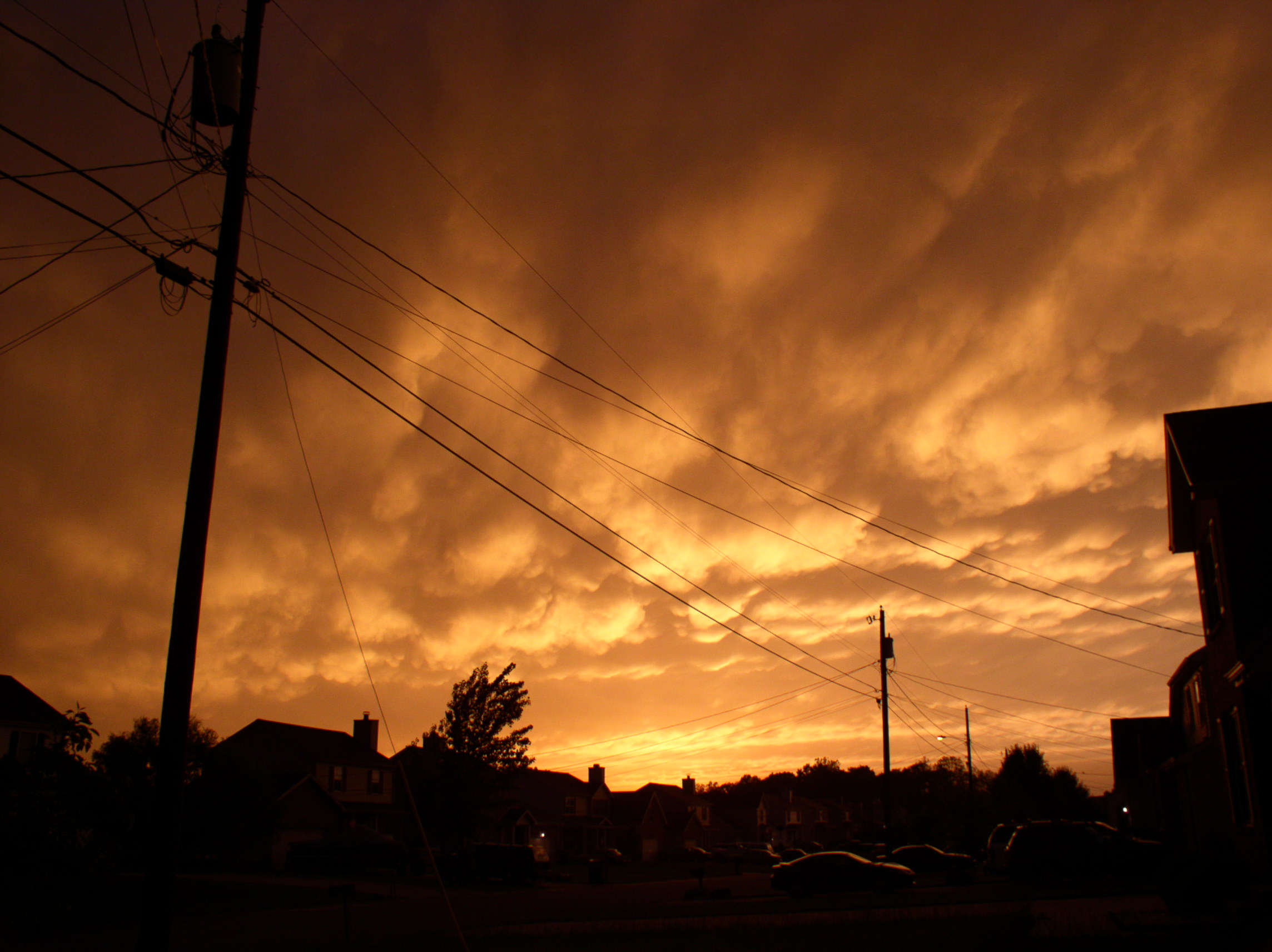 Photography by crsincere for DesignCrowd (Community Contests) | Design #9126774