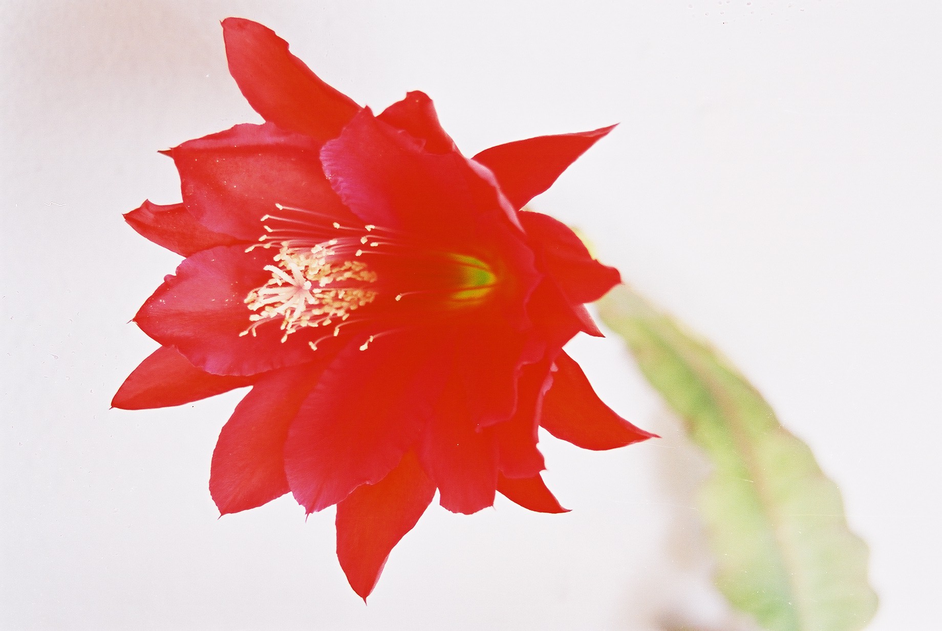 Photography by christelgrie for DesignCrowd (Community Contests) | Design #9135721