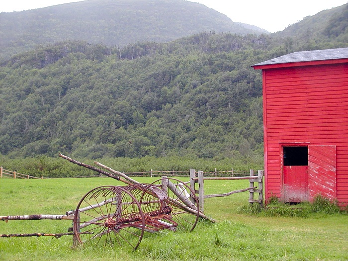 Photographie par KarenC pour DesignCrowd (Community Contests) | Design #9135735