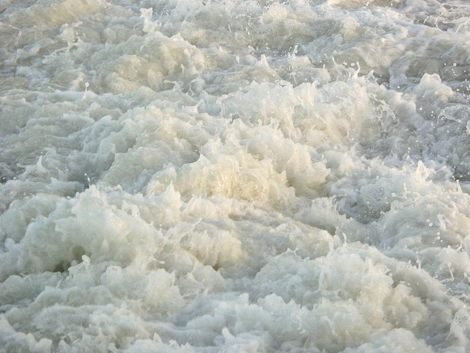 Photography by sfmsfm for DesignCrowd (Community Contests) | Design #9133778