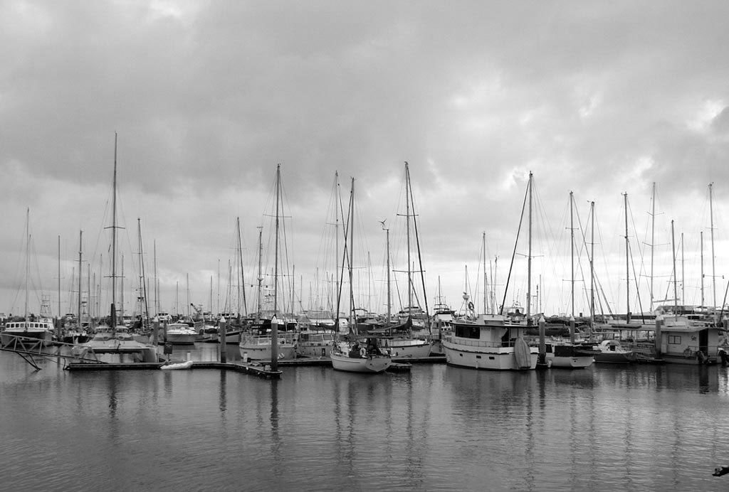 Photography by sfmsfm for DesignCrowd (Community Contests) | Design #9126784