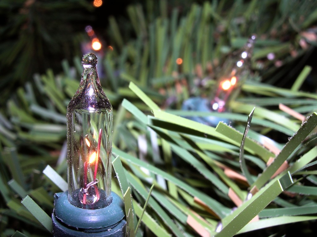 Photography by DaftGretel for DesignCrowd (Community Contests) | Design #9135747