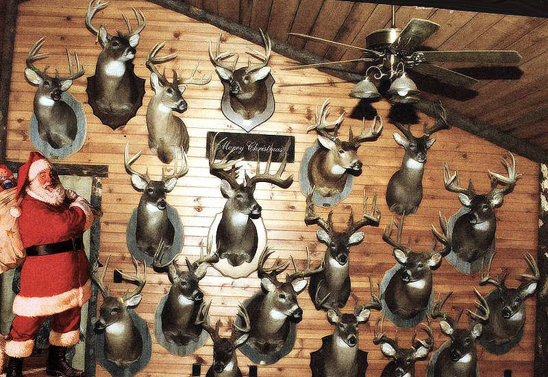 Photoshop Design by oOfmhOo for DesignCrowd (Community Contests) | Design #9114145