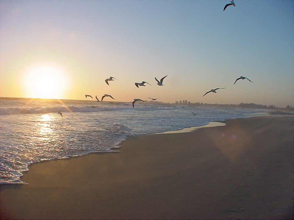 Photography by pacwin for DesignCrowd (Community Contests) | Design #9133826
