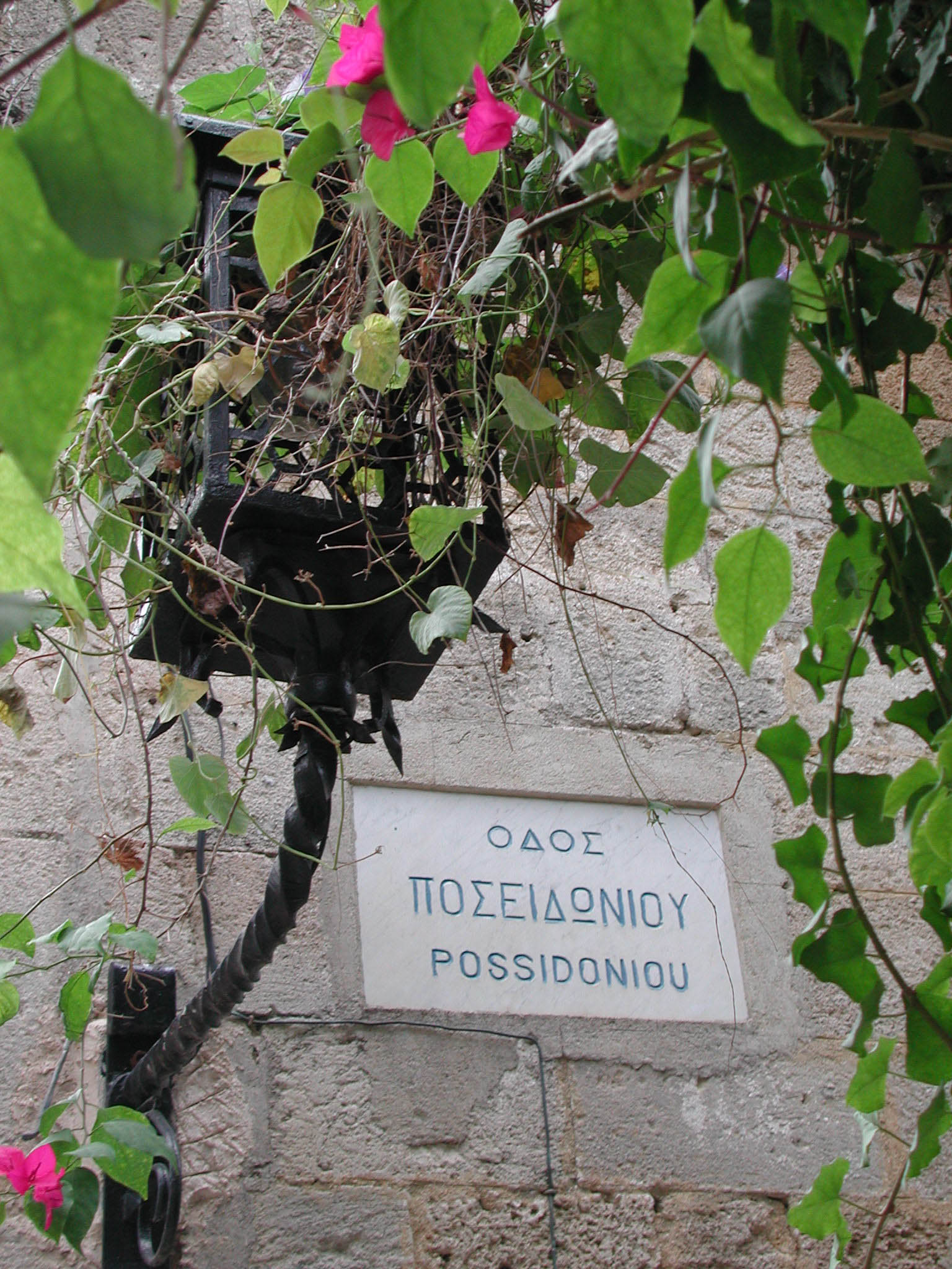 Photography by cemaydin for DesignCrowd (Community Contests) | Design #9135891