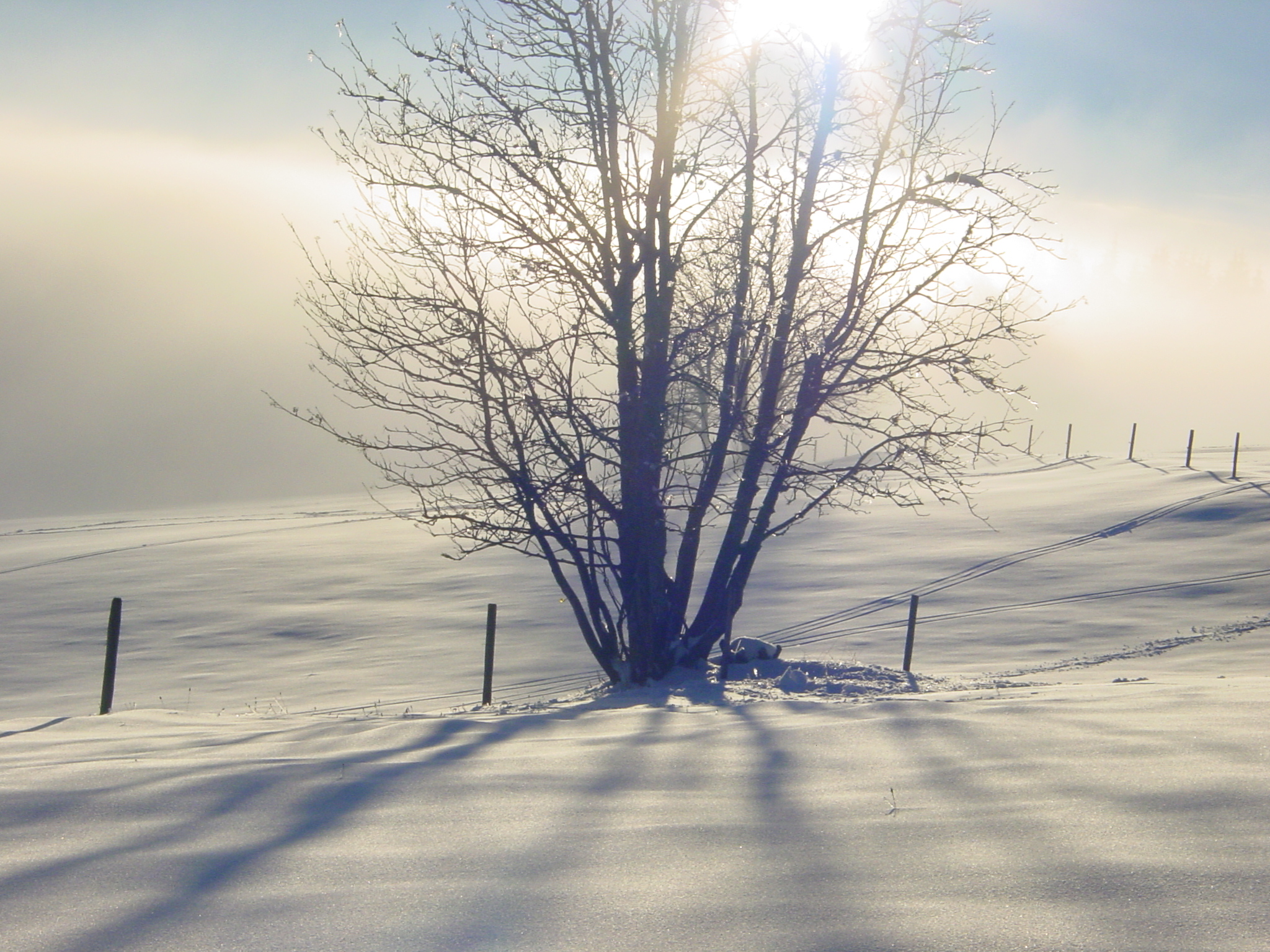 Photography by Floppglopple for DesignCrowd (Community Contests) | Design #9133428