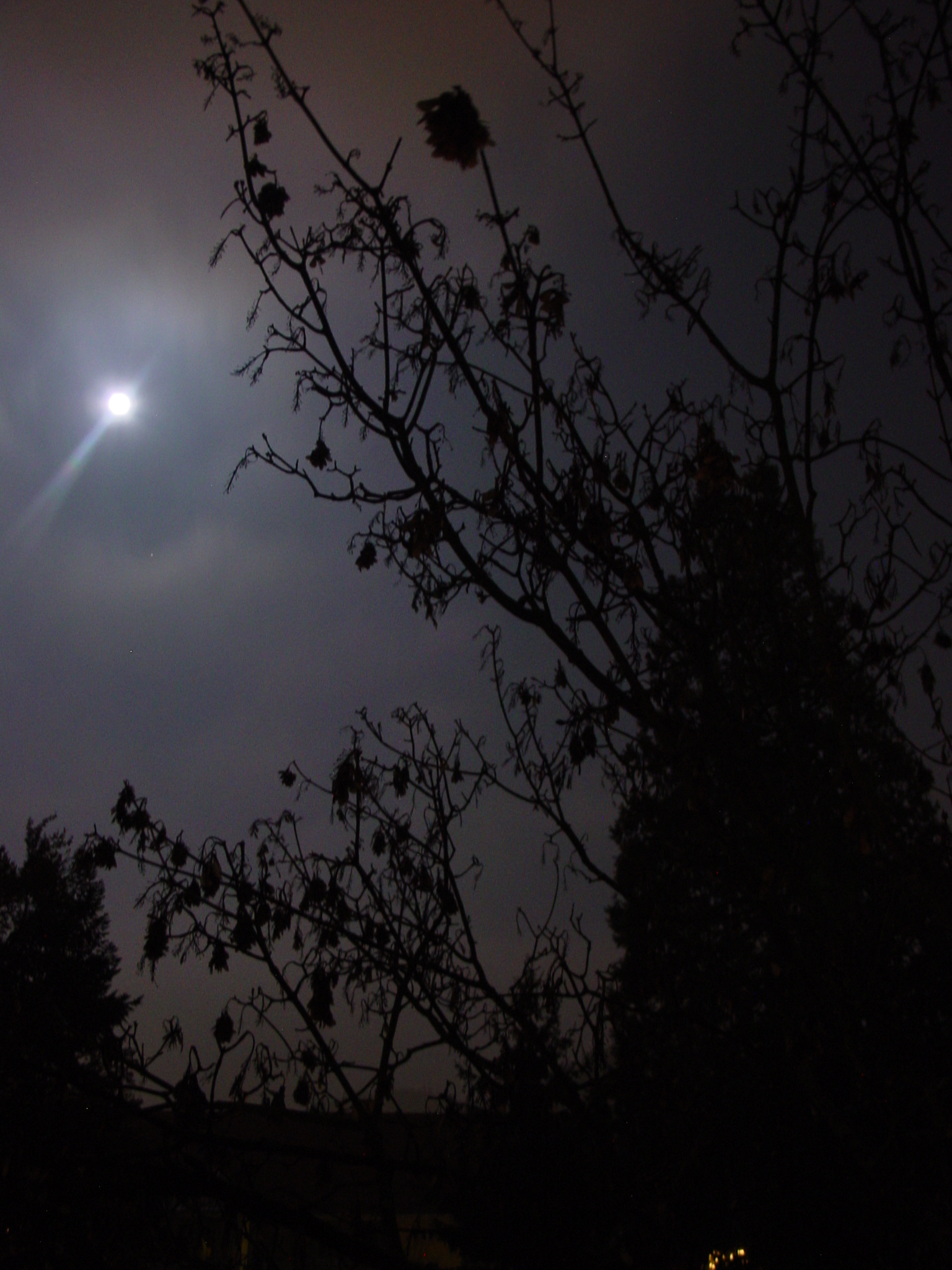 Photography by Floppglopple for DesignCrowd (Community Contests) | Design #9126839