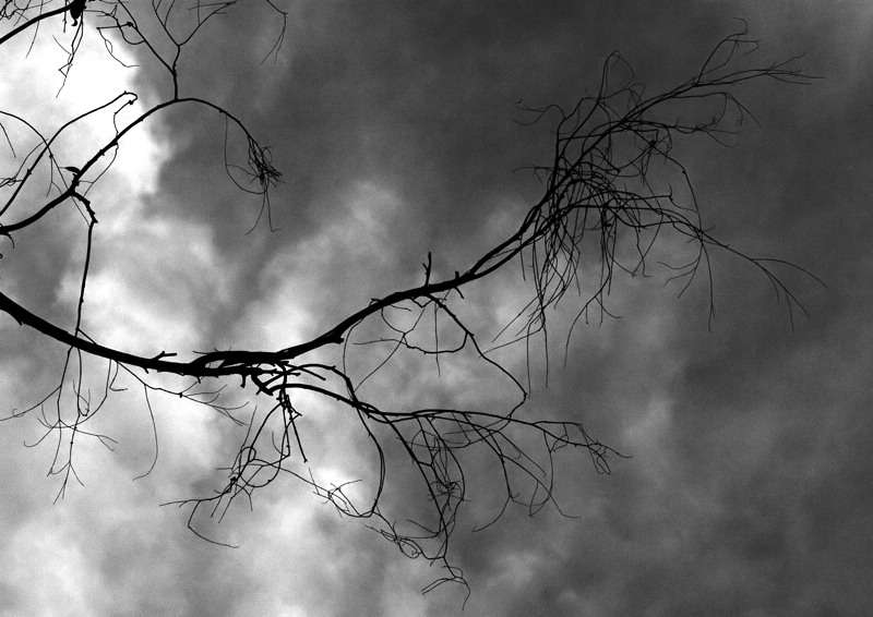 Photographie par kimmau pour DesignCrowd (Community Contests) | Design #9126857