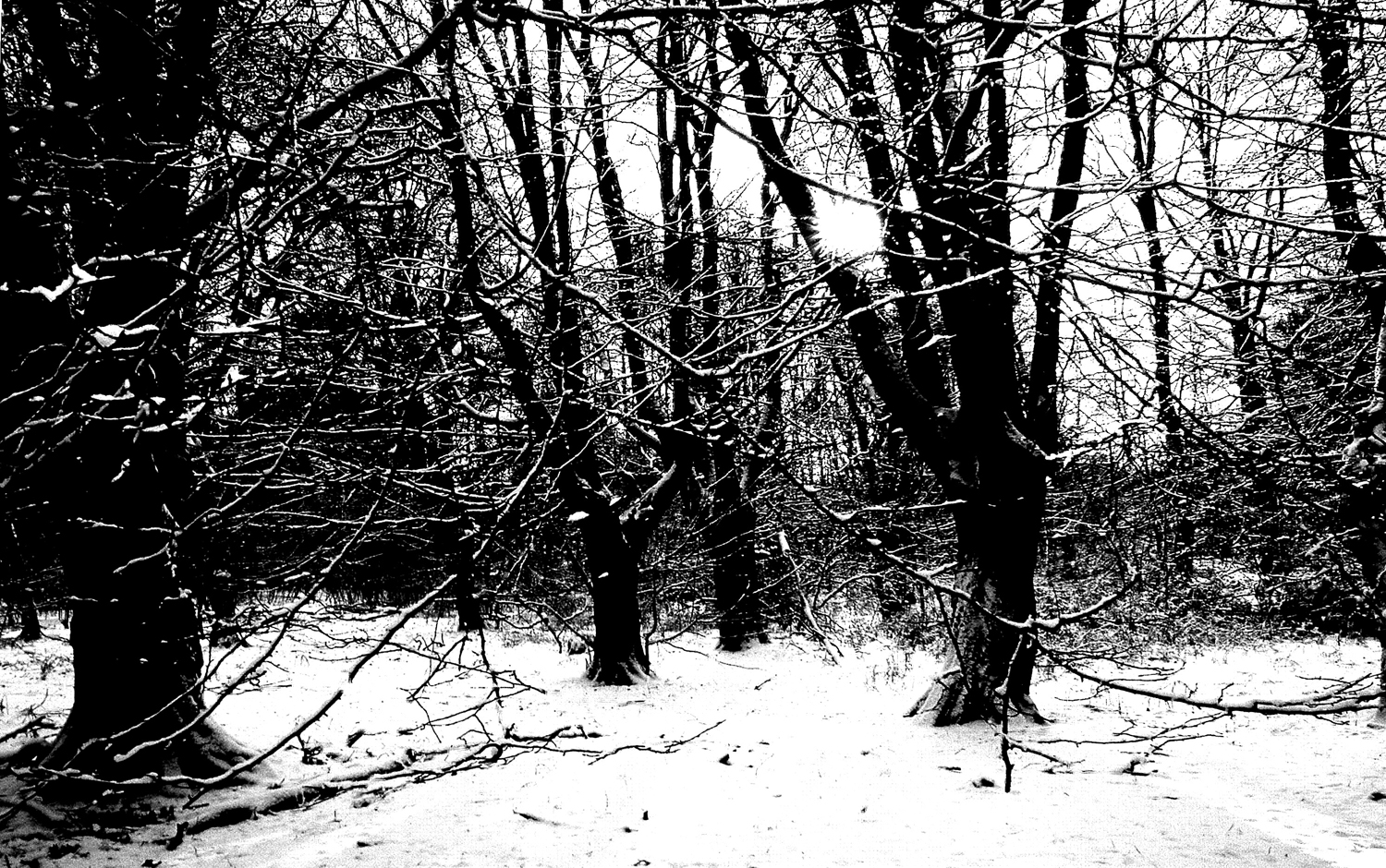 Fotografía por RitaRichter para DesignCrowd (Community Contests) | Diseño #9133482