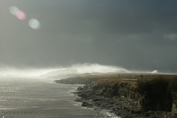 Fotografie von devilgas für DesignCrowd (Community Contests) | Design #9126810