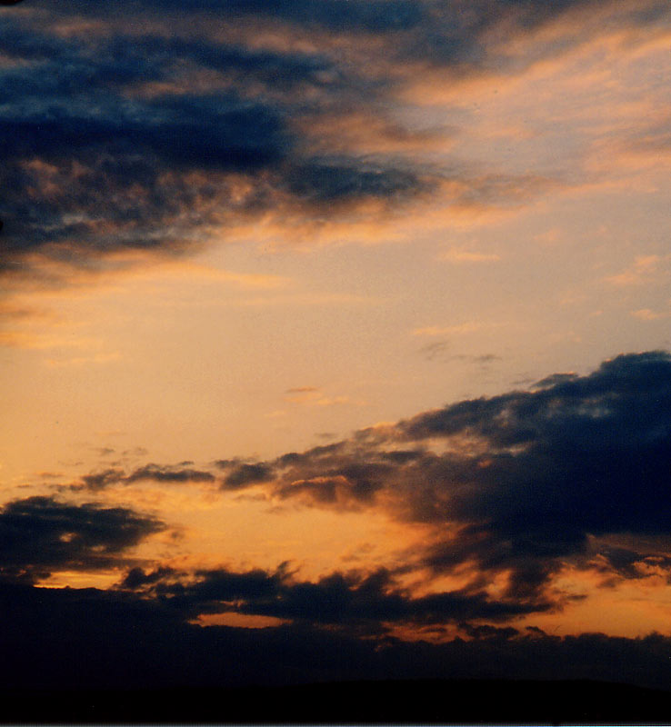 Photographie par siskin pour DesignCrowd (Community Contests) | Design #9126910