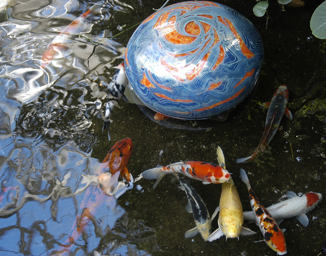 Photography by oneguy for DesignCrowd (Community Contests) | Design #9135867