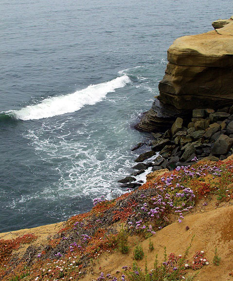 Fotografía por TerryGilman para DesignCrowd (Community Contests) | Diseño #9135945