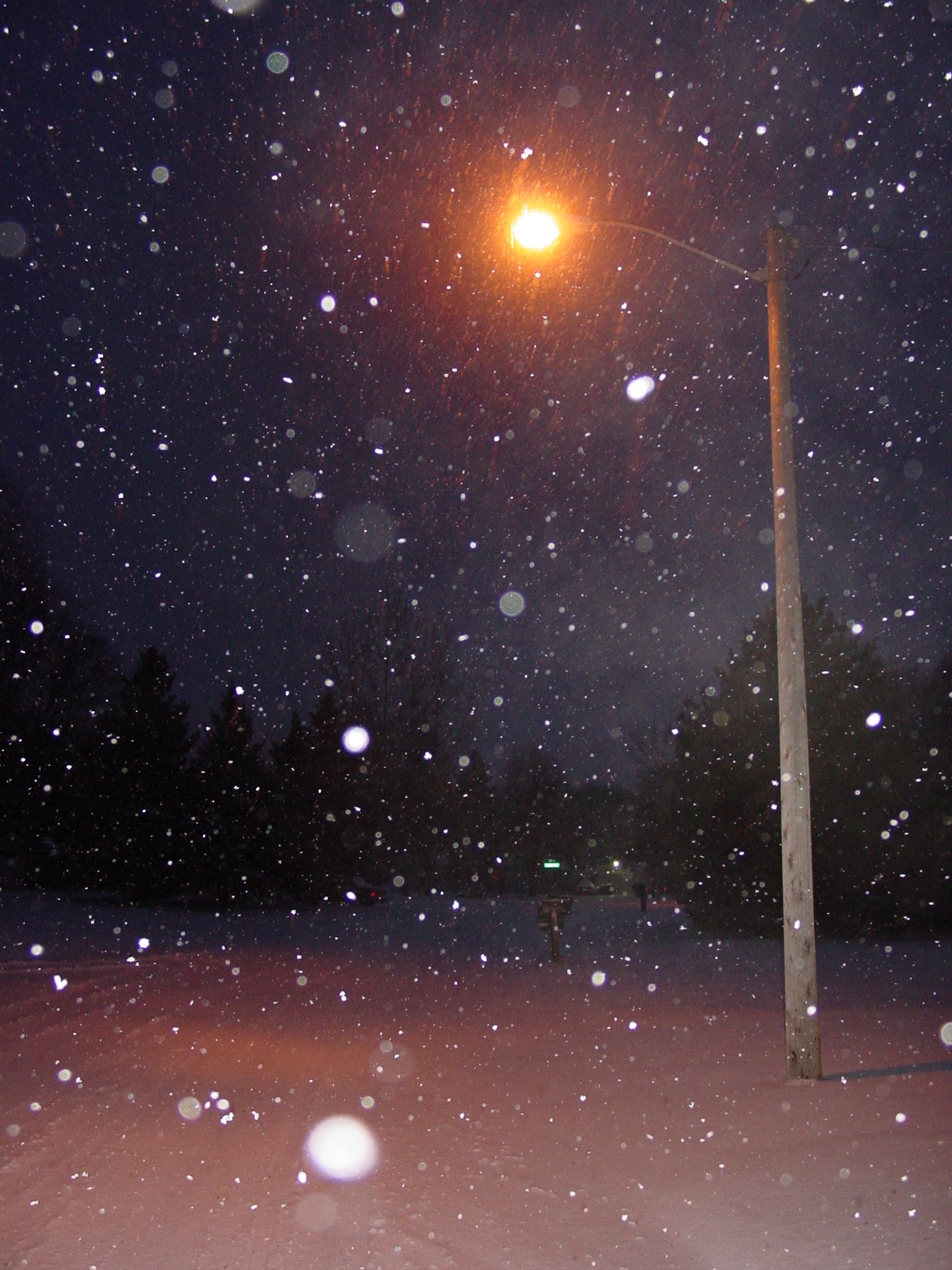 Photography by yusaku for DesignCrowd (Community Contests) | Design #9133523