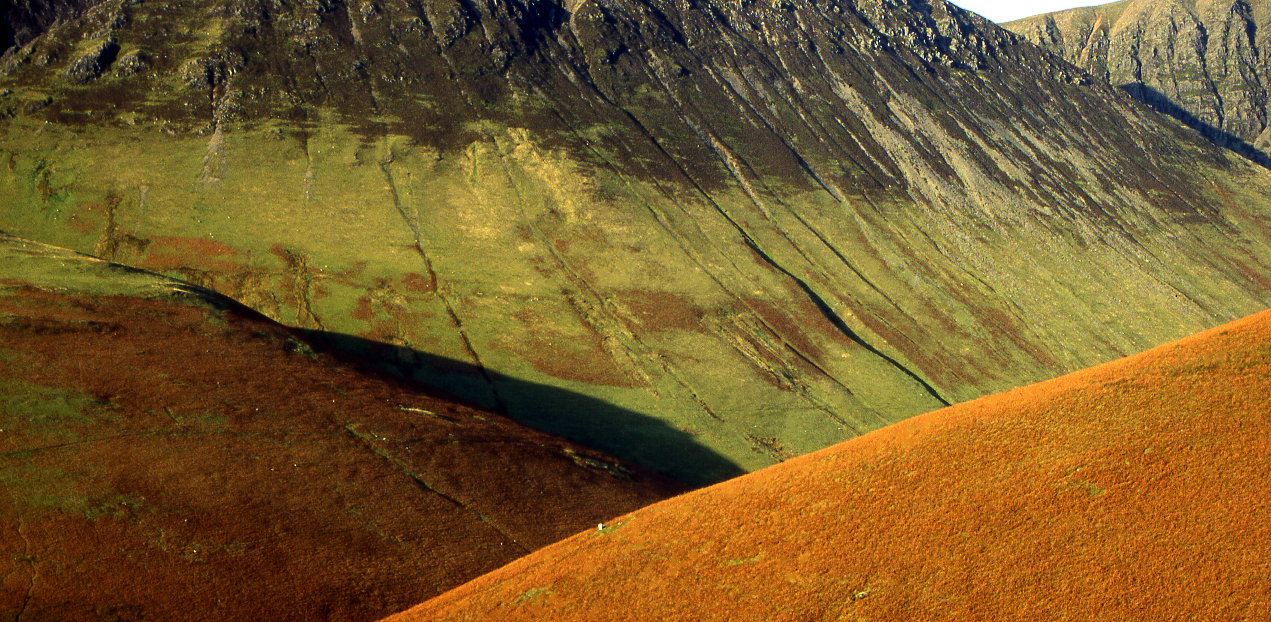 Fotografía por RitaRichter para DesignCrowd (Community Contests) | Diseño #9136055