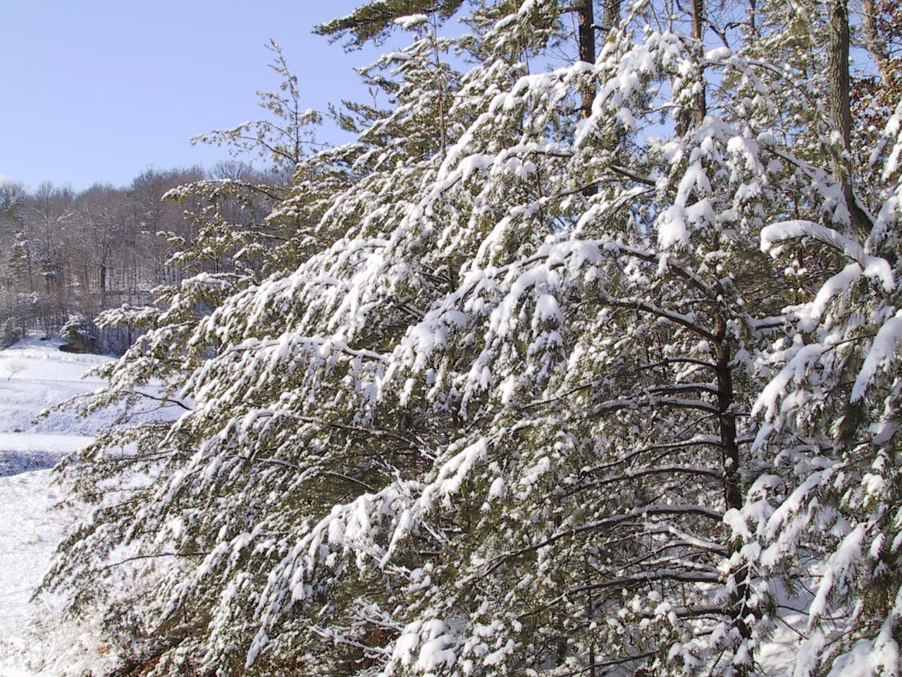 Fotografía por kseeler para DesignCrowd (Community Contests) | Diseño #9133486