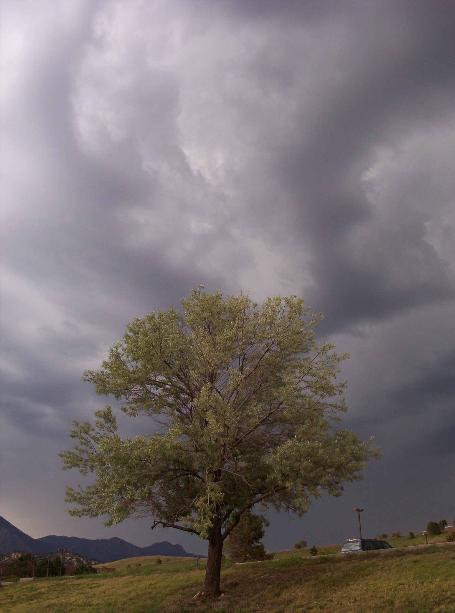 Photography by Spook for DesignCrowd (Community Contests) | Design #9126870