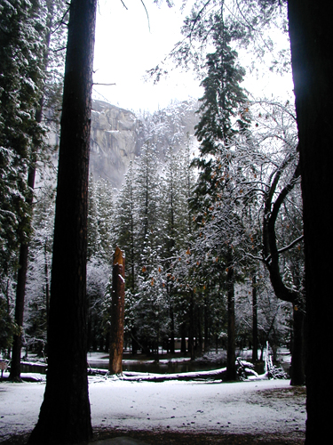 Fotografía por cometgymmom para DesignCrowd (Community Contests) | Diseño #9133503