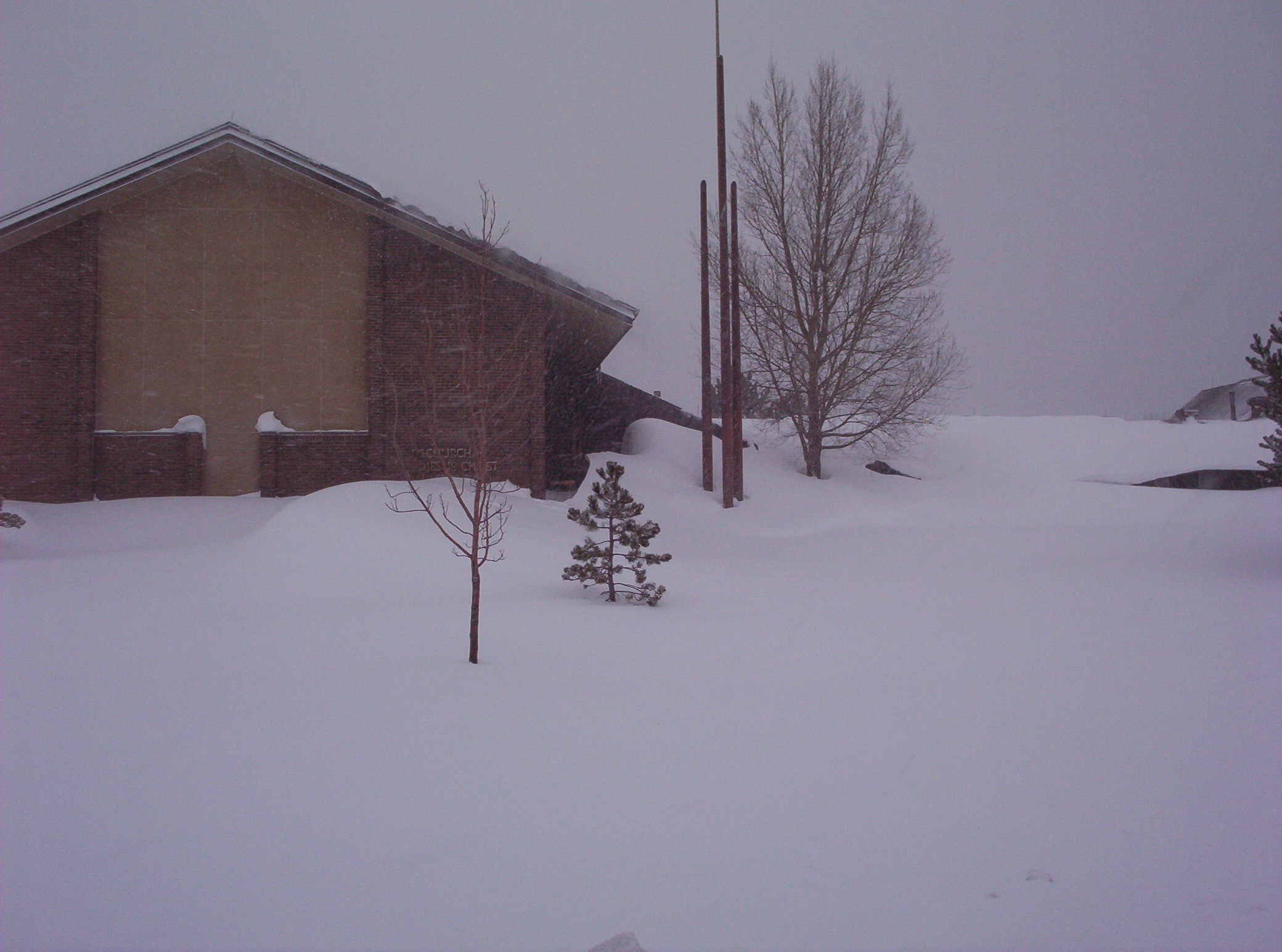 Photography by Spook for DesignCrowd (Community Contests) | Design #9133493