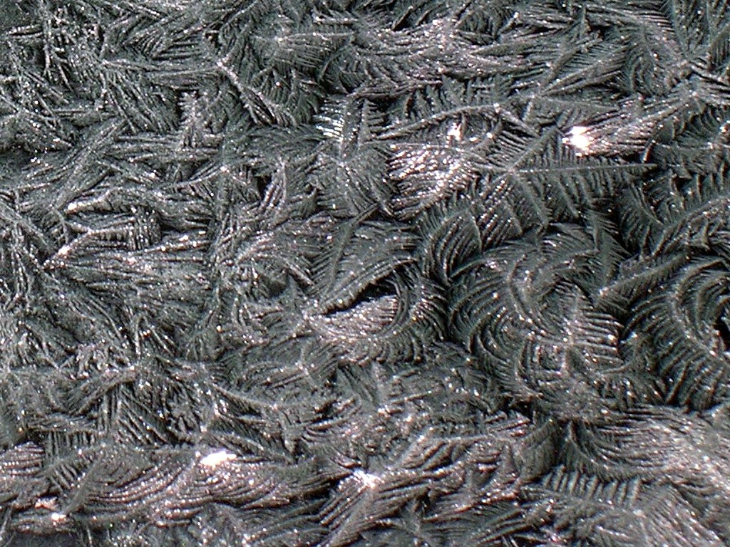 Photography by DaftGretel for DesignCrowd (Community Contests) | Design #9133619