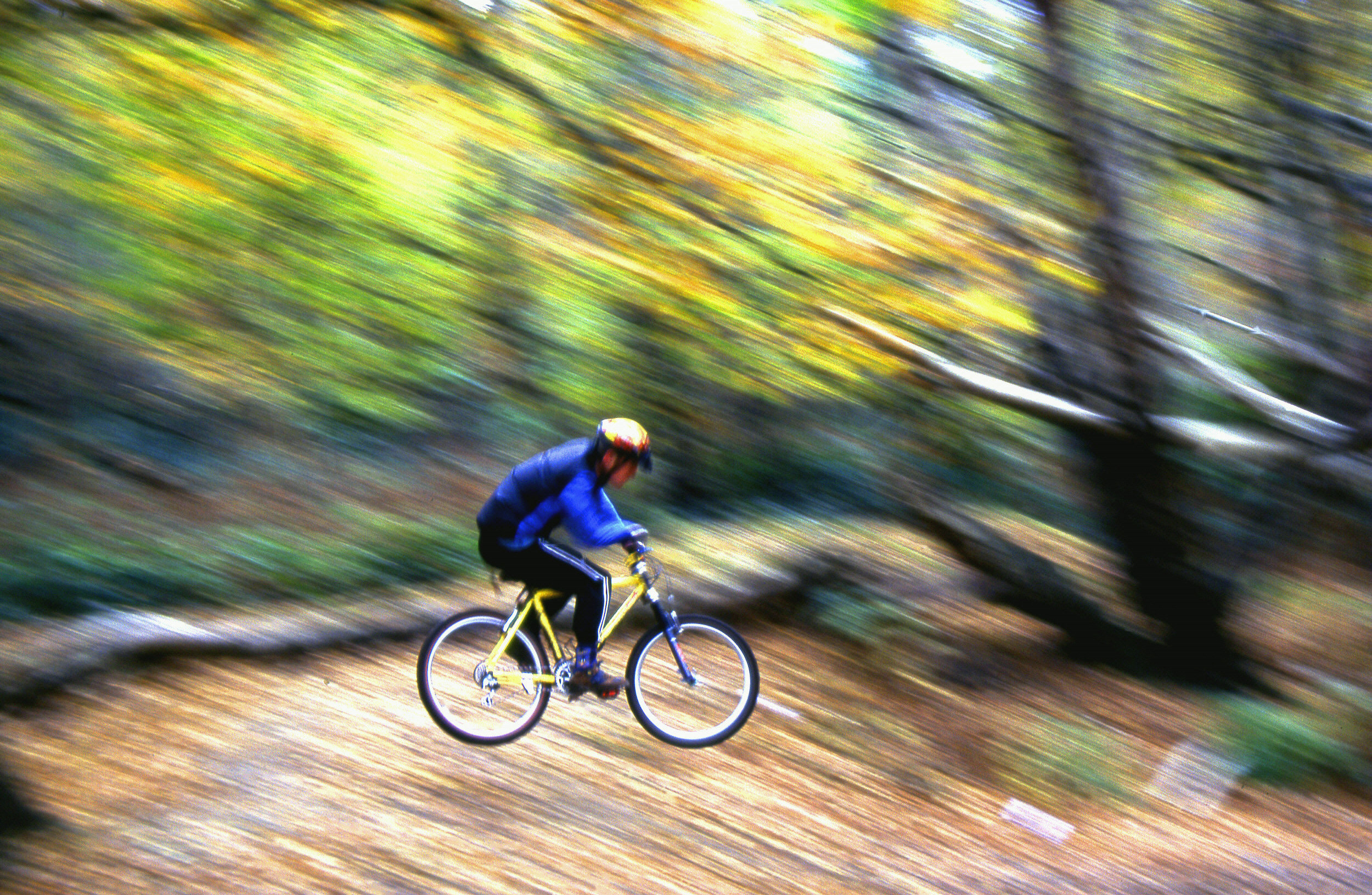 Fotografía por RitaRichter para DesignCrowd (Community Contests) | Diseño #9114156