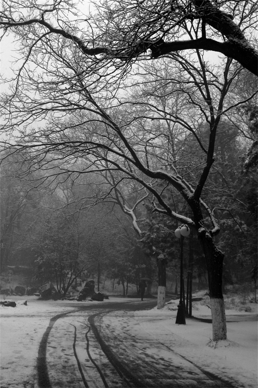 Fotografie von Fascha für DesignCrowd (Community Contests) | Design #9133610