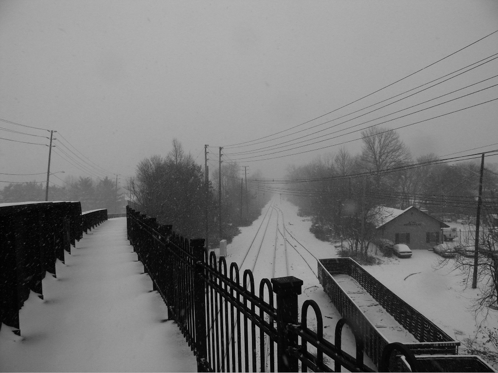 Photography by gabegall for DesignCrowd (Community Contests) | Design #9133670