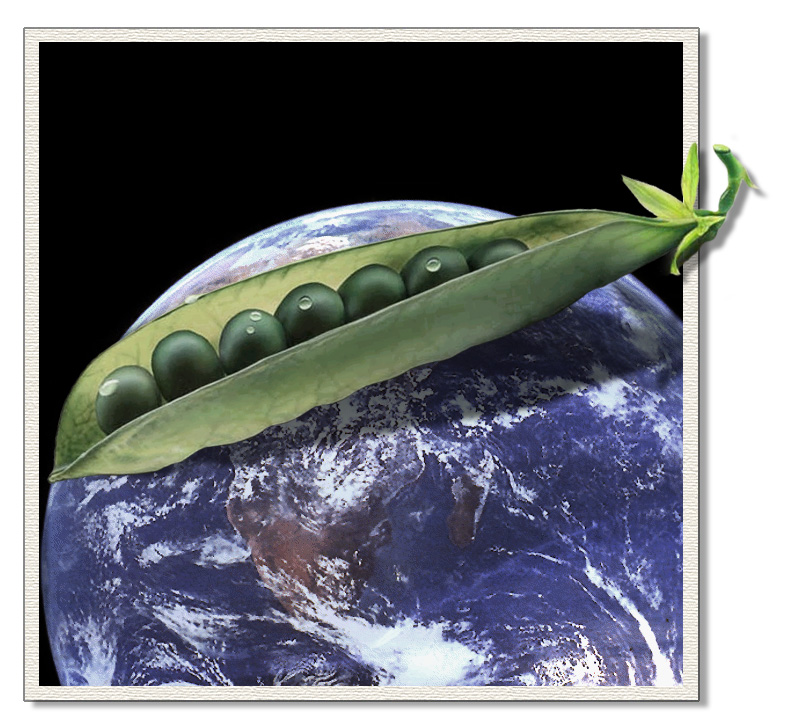 Photoshop Design by eDorie for DesignCrowd (Community Contests) | Design #9113330