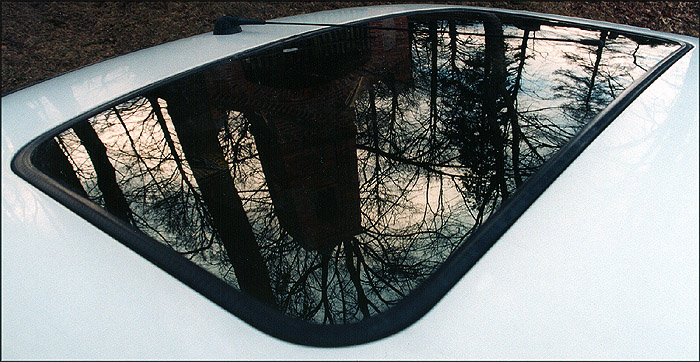 Photography by Jealousy for DesignCrowd (Community Contests) | Design #9131045