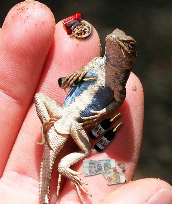 Diseño de Photoshop por Ryun para DesignCrowd (Community Contests) | Diseño #9105046