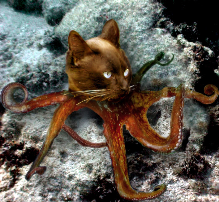 Photoshop Design by WillieTheCat for DesignCrowd (Community Contests) | Design #9105108