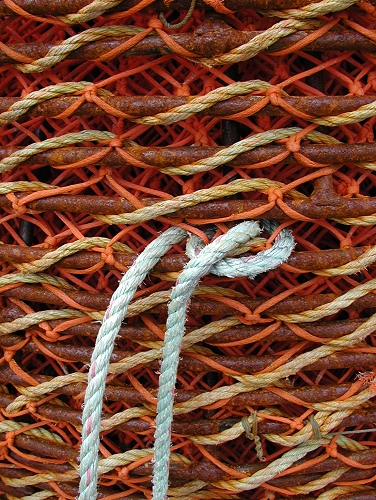 Fotografie von KarenC für DesignCrowd (Community Contests) | Design #9128857