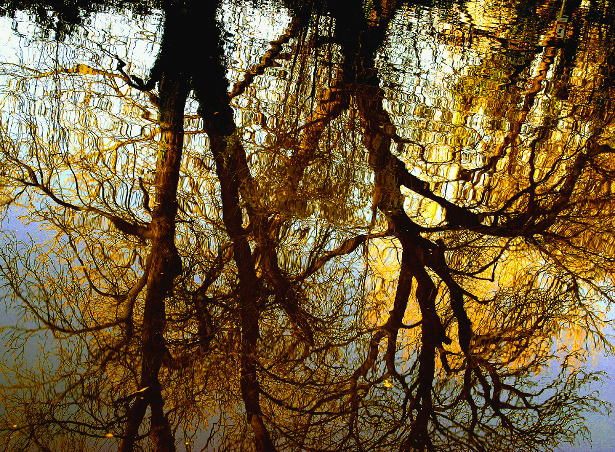 Fotografía por RitaRichter para DesignCrowd (Community Contests) | Diseño #9131136