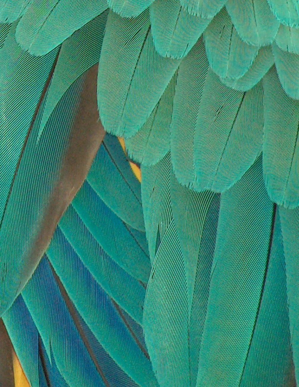 Photography by wwjdbk for DesignCrowd (Community Contests) | Design #9128886