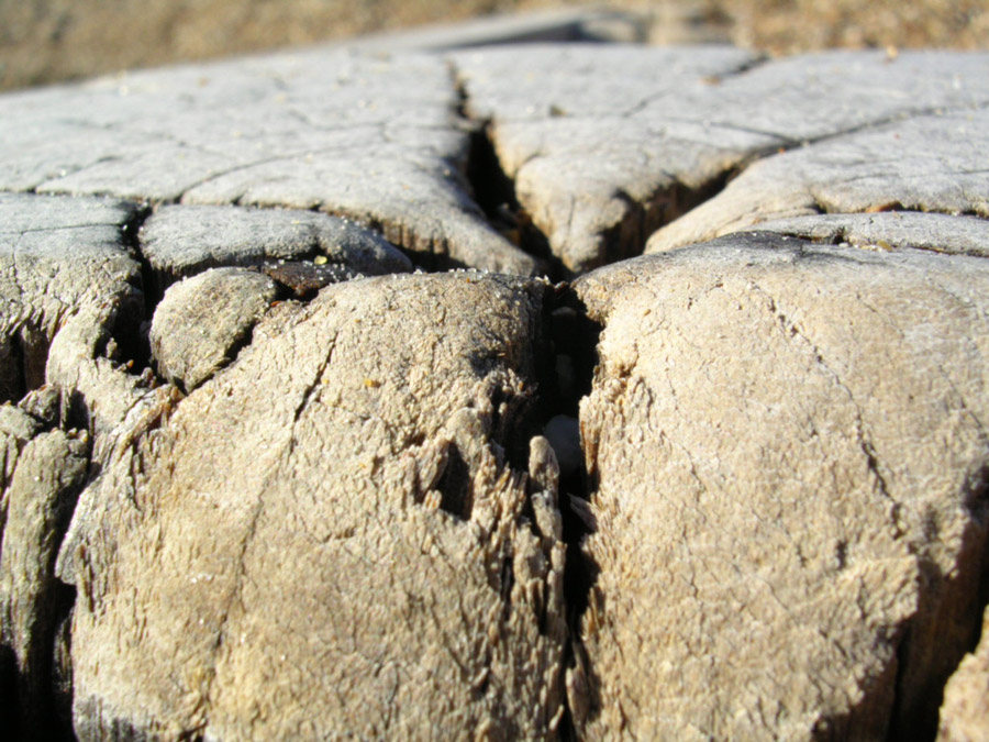 Fotografie von Trinity-of-One für DesignCrowd (Community Contests) | Design #9128922