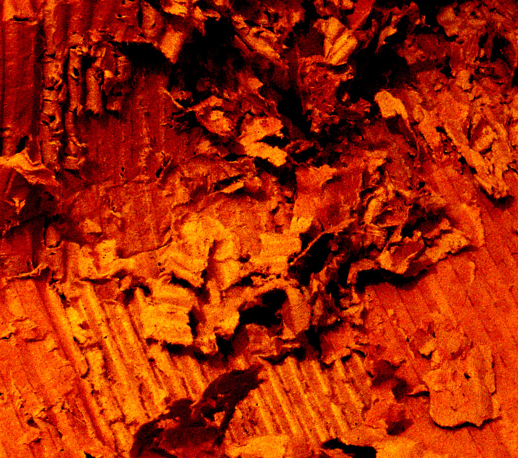 Fotografie von CerysJ für DesignCrowd (Community Contests) | Design #9128928