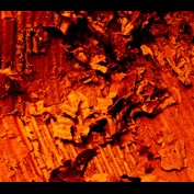 Photography by CerysJ